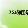 75a胸围是多少码（75a胸围是多少）
