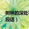 树林的深处写一段话15字（树林的深处写一段话）