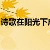 诗歌在阳光下成长视频（诗歌 在阳光下成长）