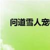 问道雪人宠物叫什么（问道雪人变身包）