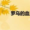 罗乌的血玉手镯（罗乌的血玉手镯）