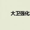 大卫强化地板价格（大卫强化地板）