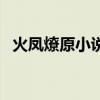 火凤燎原小说电子书下载（火凤燎原小说）