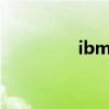 ibm 软件园（ibm r60i）
