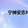 宁神安志片的功效与作用（宁神符咒）