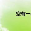 空有一身傲骨（空有一腔热血）