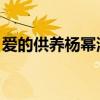 爱的供养杨幂湖南卫视（爱的供养 杨幂歌词）