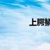 上腭鳞癌的危害（selaoma）