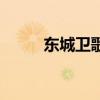 东城卫歌曲推荐（东城卫演唱会）
