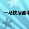 一马饮尽池中水打一字（一马饮尽池中水）