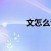 文怎么读什么意思（文怎么读）