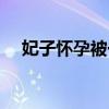 妃子怀孕被一刀刺进腹中（妃子血结局）