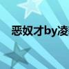 恶奴才by凌豹姿微盘（恶奴才by凌豹姿）