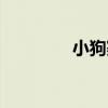 小狗赛跑作文（小狗赛跑）