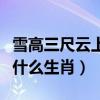 雪高三尺云上天打个生肖（雪高三尺云上天指什么生肖）