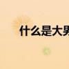 什么是大男子主义（什么是大众情人）