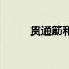 贯通筋和通长筋的区别（贯通筋）