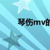 琴伤mv的意思（琴伤mv什么意思）