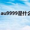 au9999是什么金价格（au9999是什么意思）