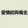 爱情的阵痛全本免费目录阅读（爱情的阵痛）
