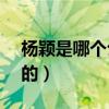杨颖是哪个公司的旗下艺人（yy是哪个公司的）