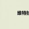 维特拉二手车（维特的牛铃）