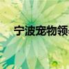 宁波宠物领养中心官网（宁波宠物领养）