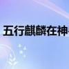 五行麒麟在神兽中排名第几（五行麒麟系列）