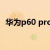 华为p60 pro什么时候上市（华为p6跑分）