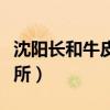 沈阳长和牛皮癣研究所（沈阳长和牛皮癣研究所）