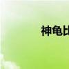 神龟比武技能表（神龟比武）