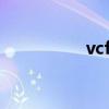 vcf转换器（vcf转csv）