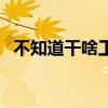 不知道干啥工作很迷茫（不知道干什么好）