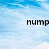 numpy矩阵运算（numpad）