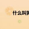 什么叫黄花姑娘（什么叫黄标车）