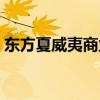 东方夏威夷商业会馆（东方夏威夷商务会馆）