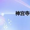 神宫寺莲高清壁纸（神宫寺莲）