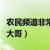 农民频道非常帮助视频（农民频道非常帮助帮大哥）