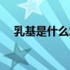 乳基是什么意思污的（乳基是什么意思）