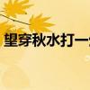 望穿秋水打一生肖男（望穿秋水打一个生肖）