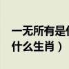 一无所有是什么生肖码或数字?（一无所有是什么生肖）