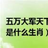五万大军天下乱是什么生肖（五万大军天下乱是什么生肖）
