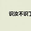 识汝不识丁txt下载（识汝不识丁txt）