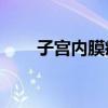 子宫内膜癌早期10种症状（子宫图）