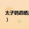 太子鹦鹉晒月txt全本百度云（太子鹦鹉晒月）