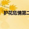 护花危情第二部叫什么（护花危情第二部）