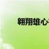 翱翔雄心在线高清观看（翱翔影院）