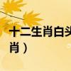 十二生肖白头翁是哪肖（白头翁是特马猜一生肖）
