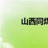 山西同煤集团张有喜（山西同志）