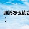 雎鸠怎么读音是什么意思是什么（雎鸠怎么读）